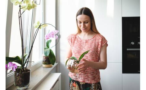 Ghid complet pentru întreținerea florilor tale